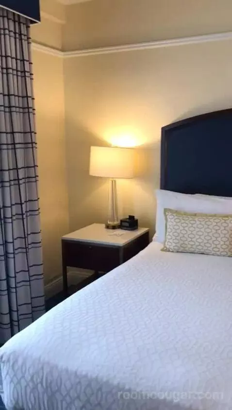 Accessible King with Bathtub (#309) bed picture #9