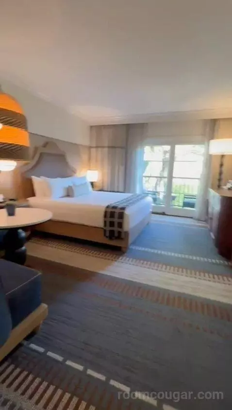 Deluxe King Room bed picture #4