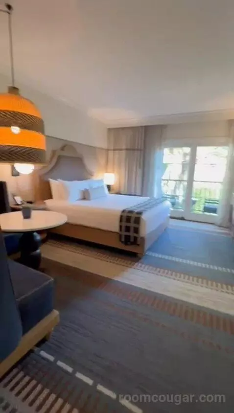 Deluxe King Room bed picture #5