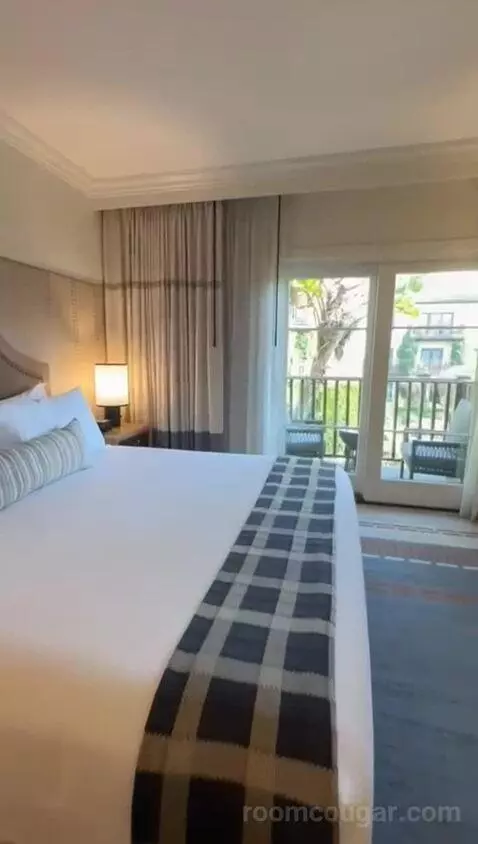 Deluxe King Room bed picture #11