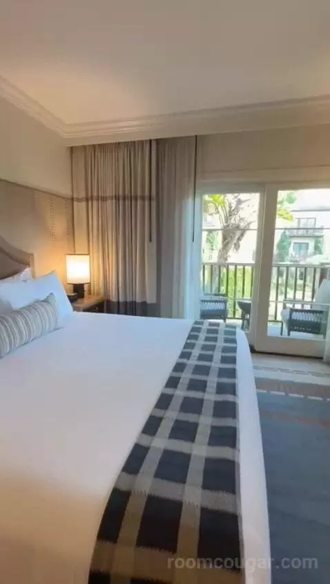 Deluxe King Room bed picture #12