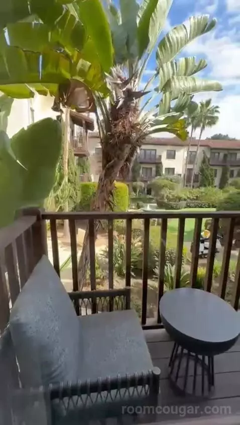 Deluxe King Room view picture #1