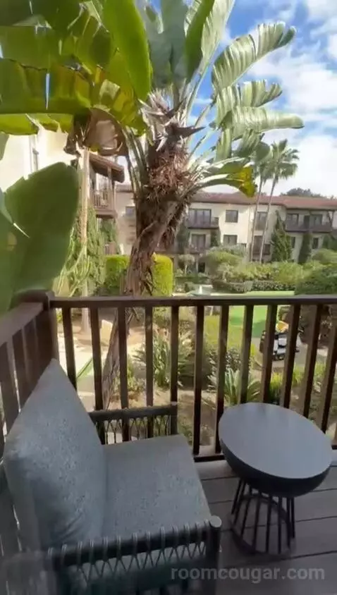 Deluxe King Room view picture #2