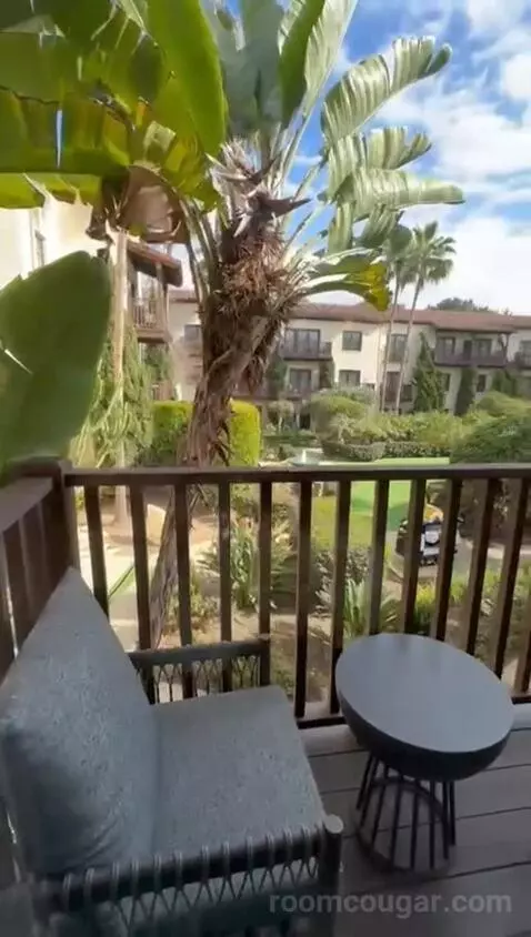 Deluxe King Room view picture #3