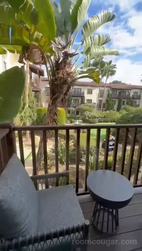 Deluxe King Room view picture #4