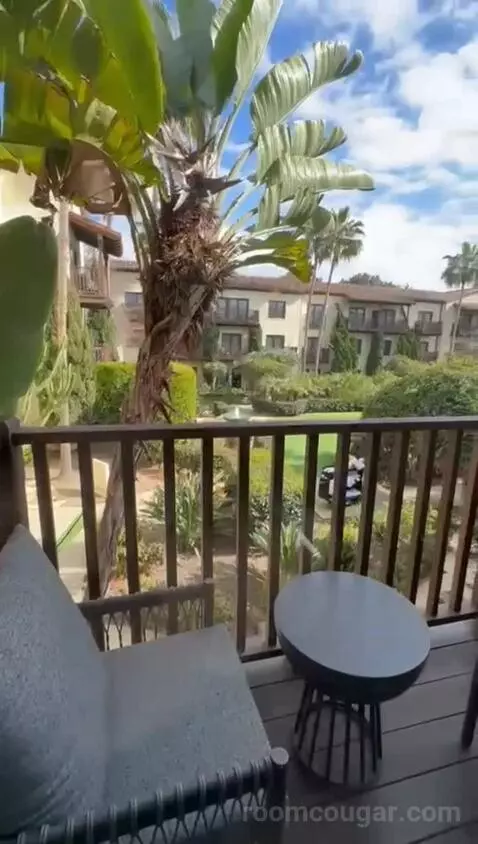 Deluxe King Room view picture #6