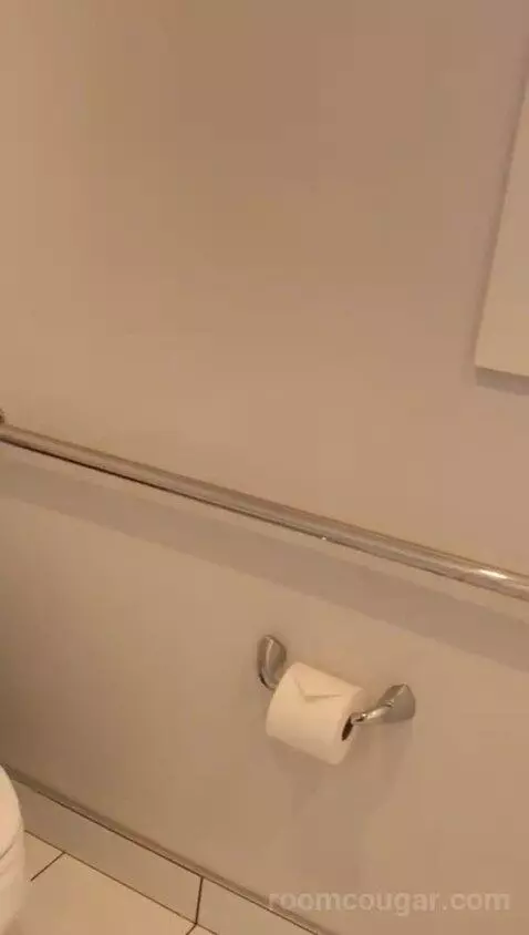 Accessible Classic King Room (#801) bathroom picture #5