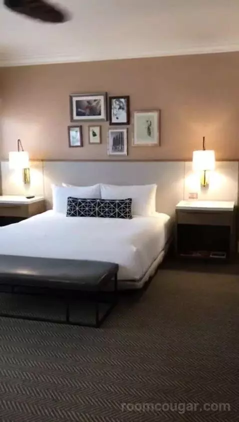 Accessible Classic King Room (#801) bed picture #12