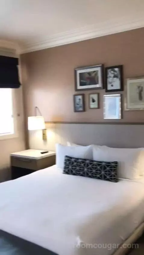 Accessible Classic King Room (#801) bed picture #8