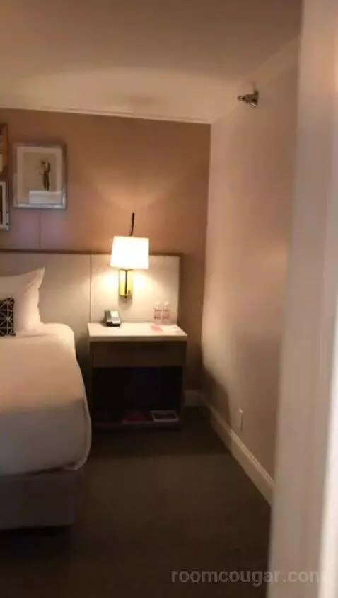 Classic King Suite with Ocean View (#205) bed picture #1