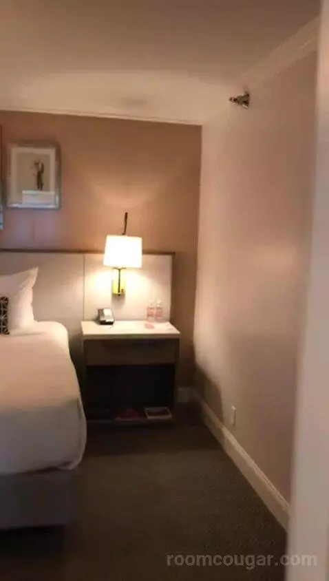 Classic King Suite with Ocean View (#205) bed picture #2