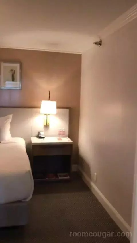 Classic King Suite with Ocean View (#205) bed picture #3