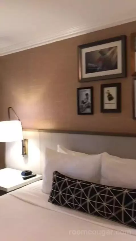 Classic King Suite with Ocean View (#205) bed picture #4