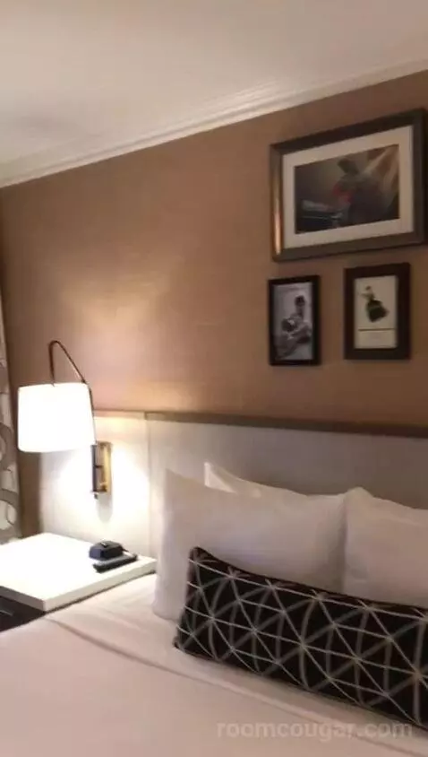 Classic King Suite with Ocean View (#205) bed picture #5