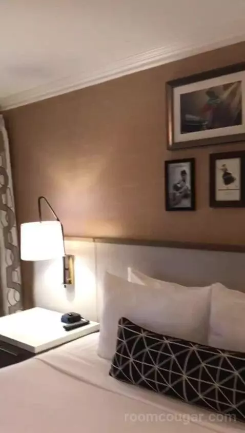 Classic King Suite with Ocean View (#205) bed picture #6