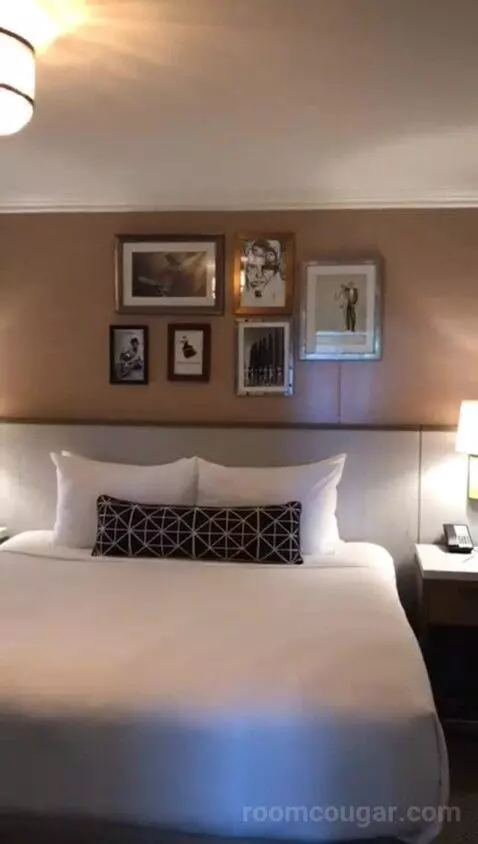 Classic King Suite with Ocean View (#205) bed picture #7