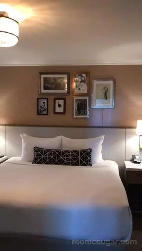 Classic King Suite with Ocean View (#205) bed picture #9