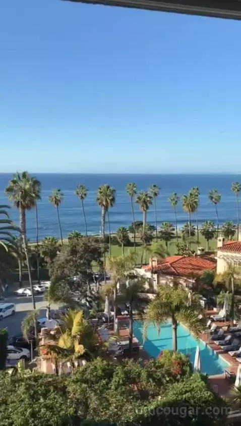 Classic King Suite with Ocean View (#205) view picture #1