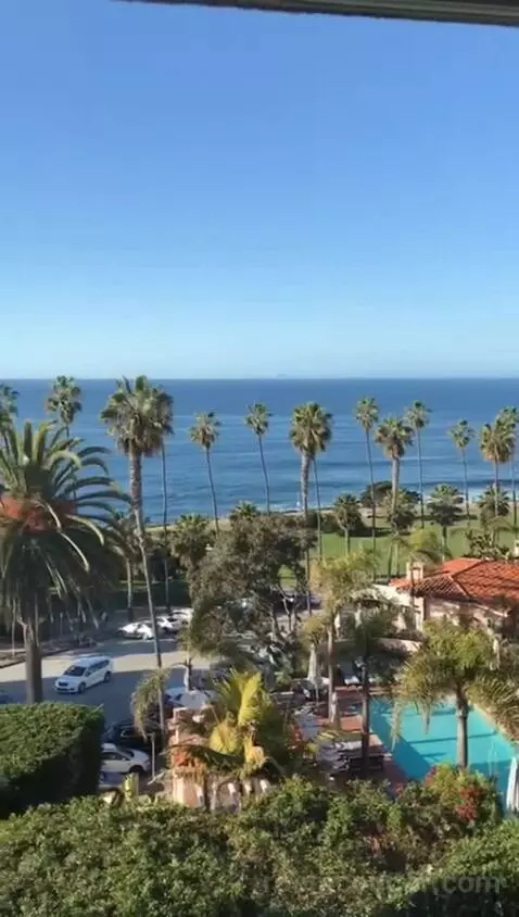Classic King Suite with Ocean View (#205) view picture #4