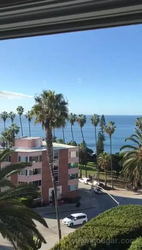 Classic King Suite with Ocean View (#205) view picture #5
