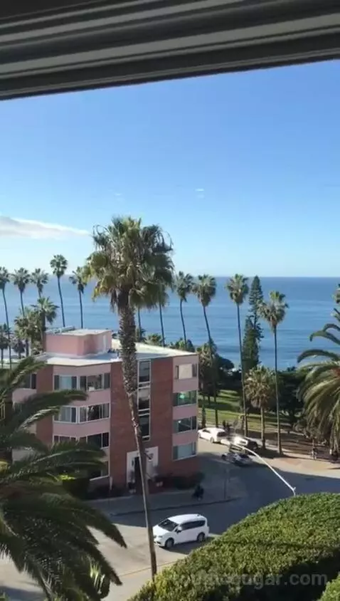 Classic King Suite with Ocean View (#205) view picture #6