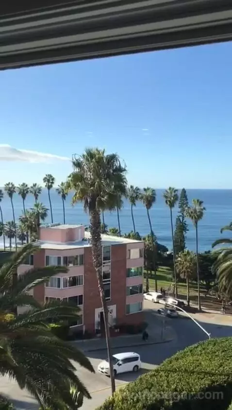 Classic King Suite with Ocean View (#205) view picture #7