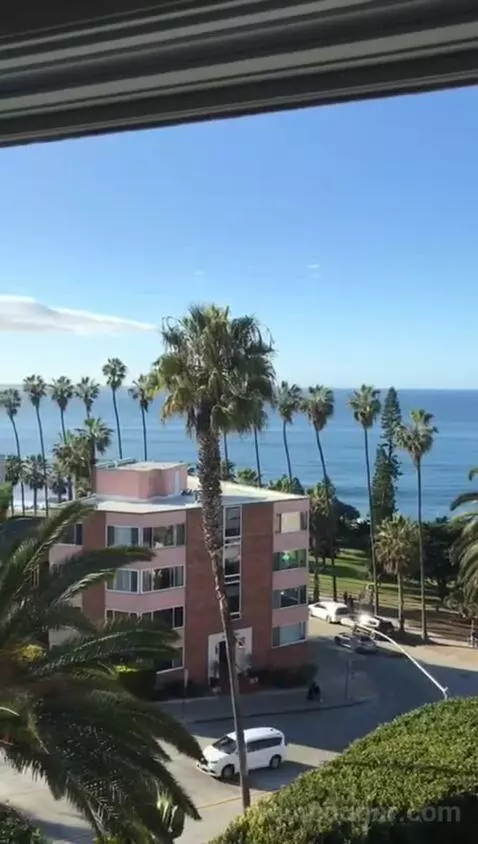 Classic King Suite with Ocean View (#205) view picture #8