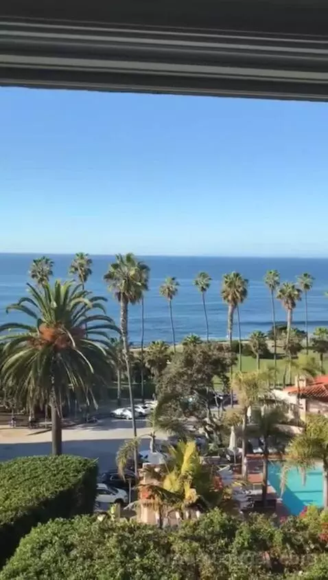 Classic King Suite with Ocean View (#205) view picture #9