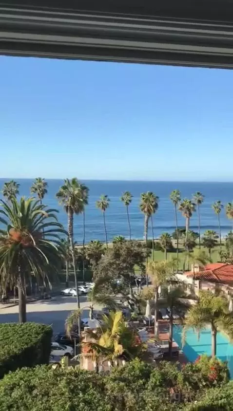 Classic King Suite with Ocean View (#205) view picture #10