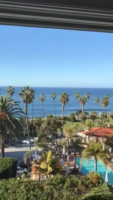 Classic King Suite with Ocean View (#205) view picture #11