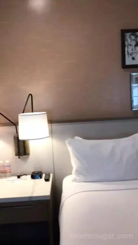 Classic Double Queen (#811) bed picture #6