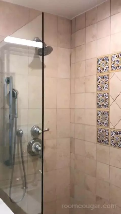 Vintage King Room (#518) bathroom picture #2