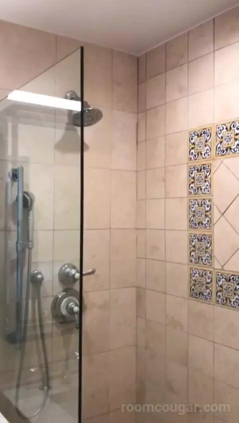 Vintage King Room (#518) bathroom picture #4
