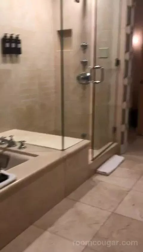 Villa King Suite Garden (#2) bathroom picture #2