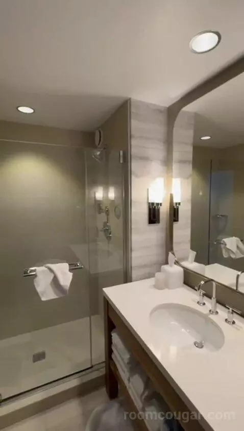 King Room with View - High Floor (#336) bathroom picture #8