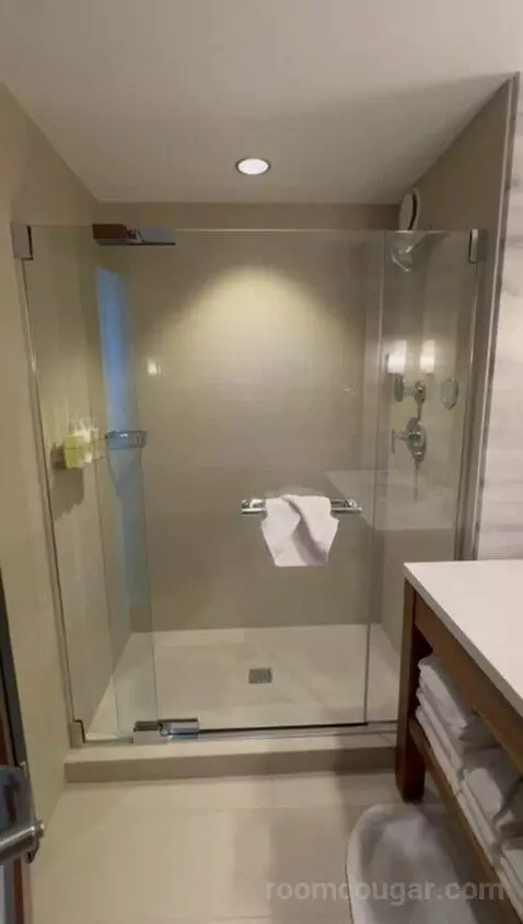 King Room with View - High Floor (#336) bathroom picture #10