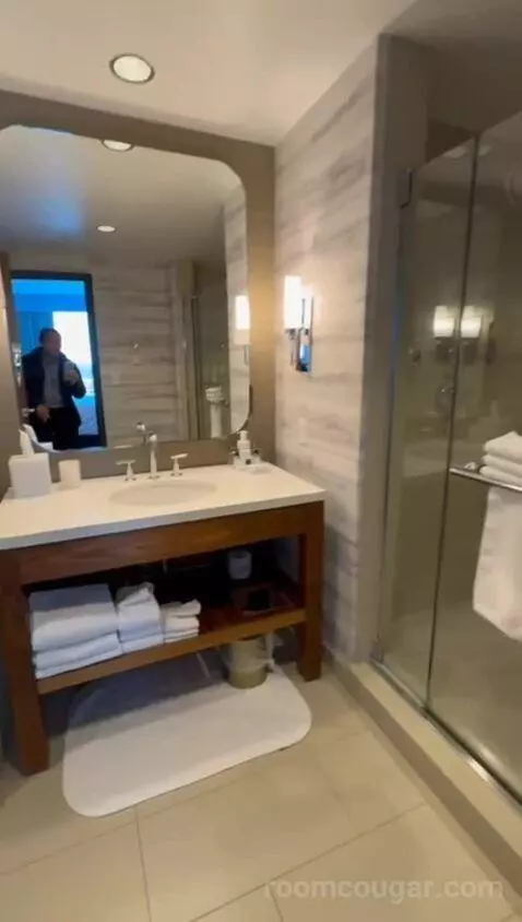 Executive Suite, 1 King (#2301) bathroom picture #9