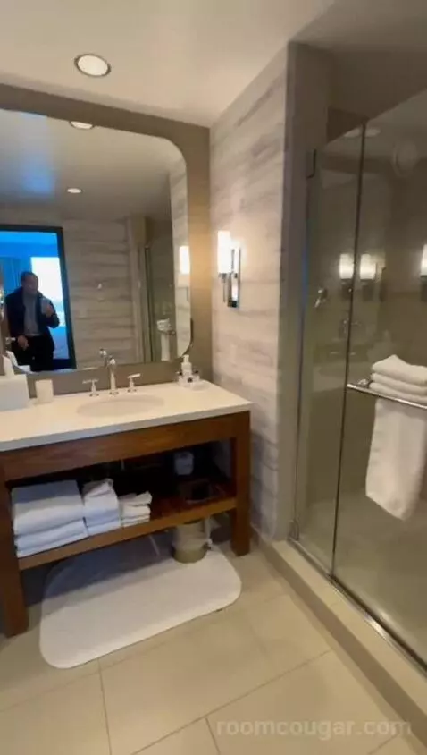Executive Suite, 1 King (#2301) bathroom picture #10