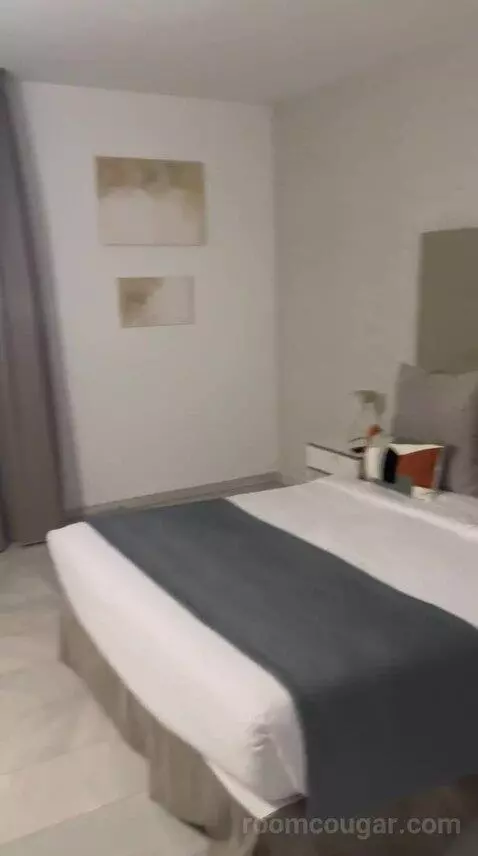 Suite (D) bed picture #6