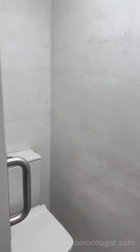 Suite (D) bathroom picture #10