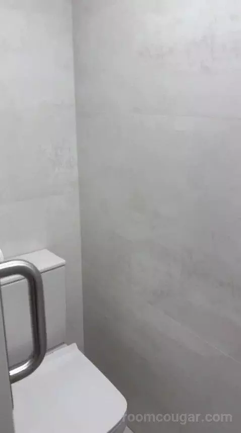 Suite (D) bathroom picture #11