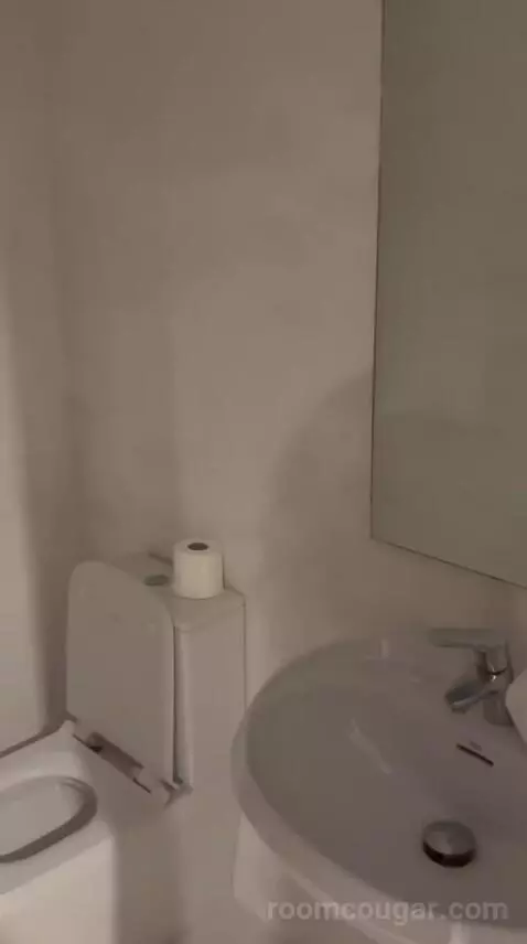 Suite (D) bathroom picture #3