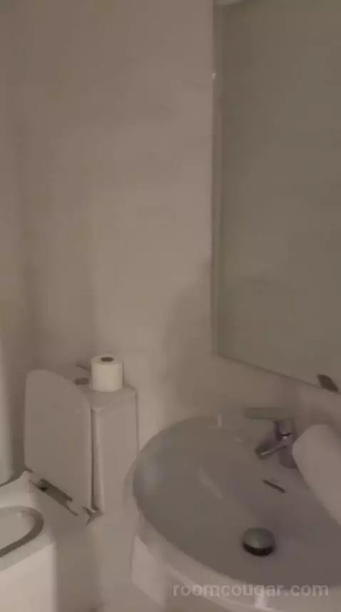 Suite (D) bathroom picture #4