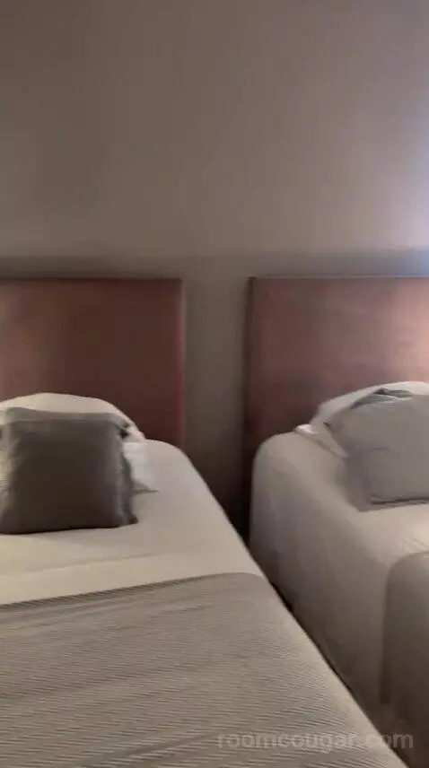 Standard Twin Room bed picture #3