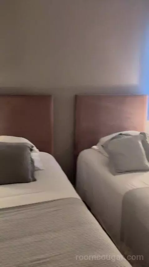 Standard Twin Room bed picture #4
