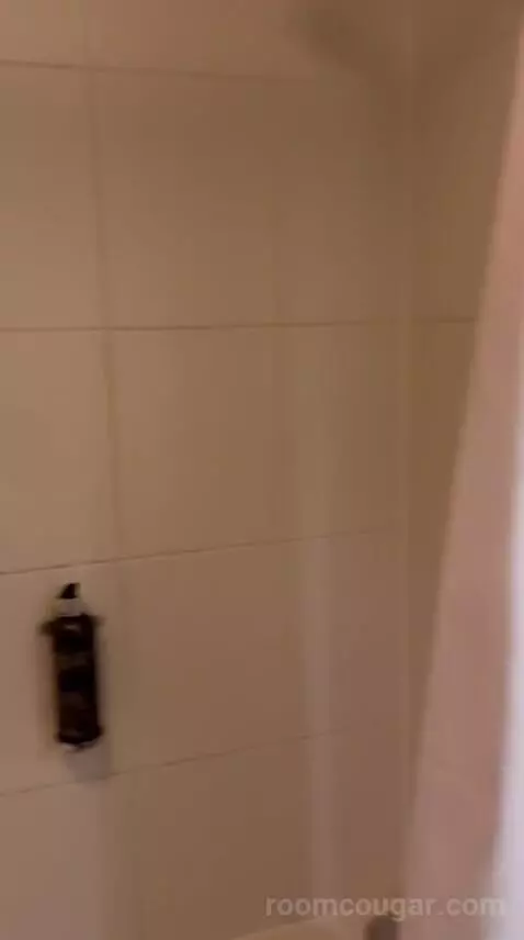 Standard (#205) bathroom picture #5