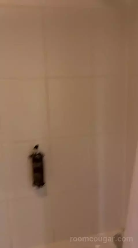 Standard (#205) bathroom picture #6