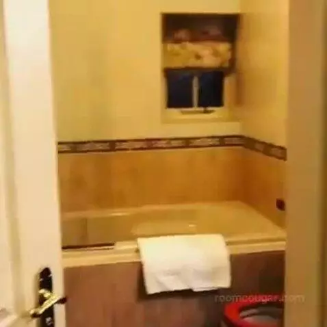Suite bathroom picture #2