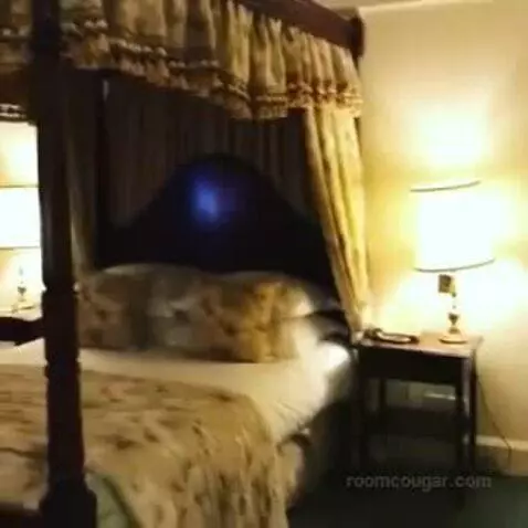 Suite bed picture #10