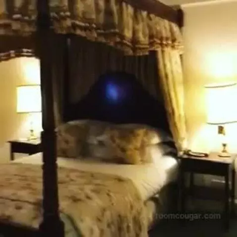 Suite bed picture #11